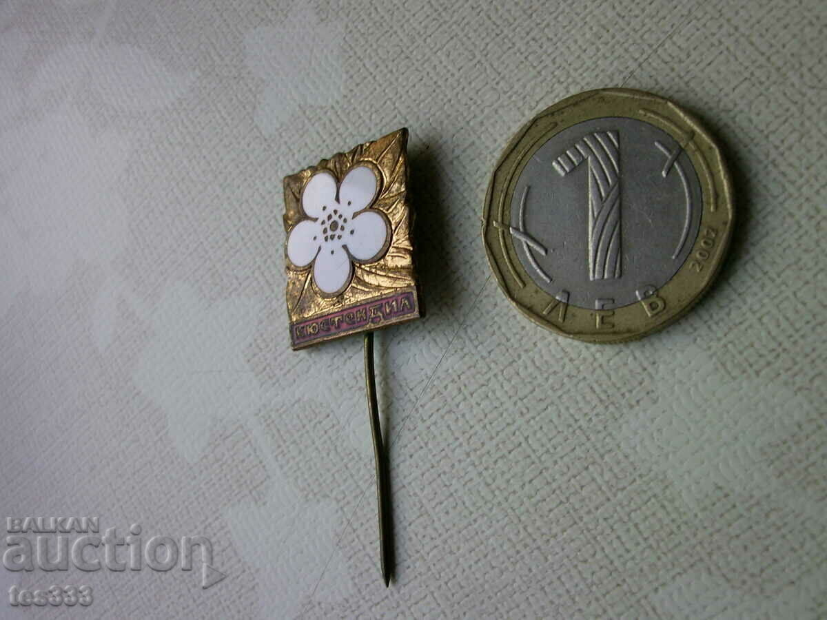 Аукцион Значка емайлирана Кюстендил Аукцион Значка емайлирана Кюстендил