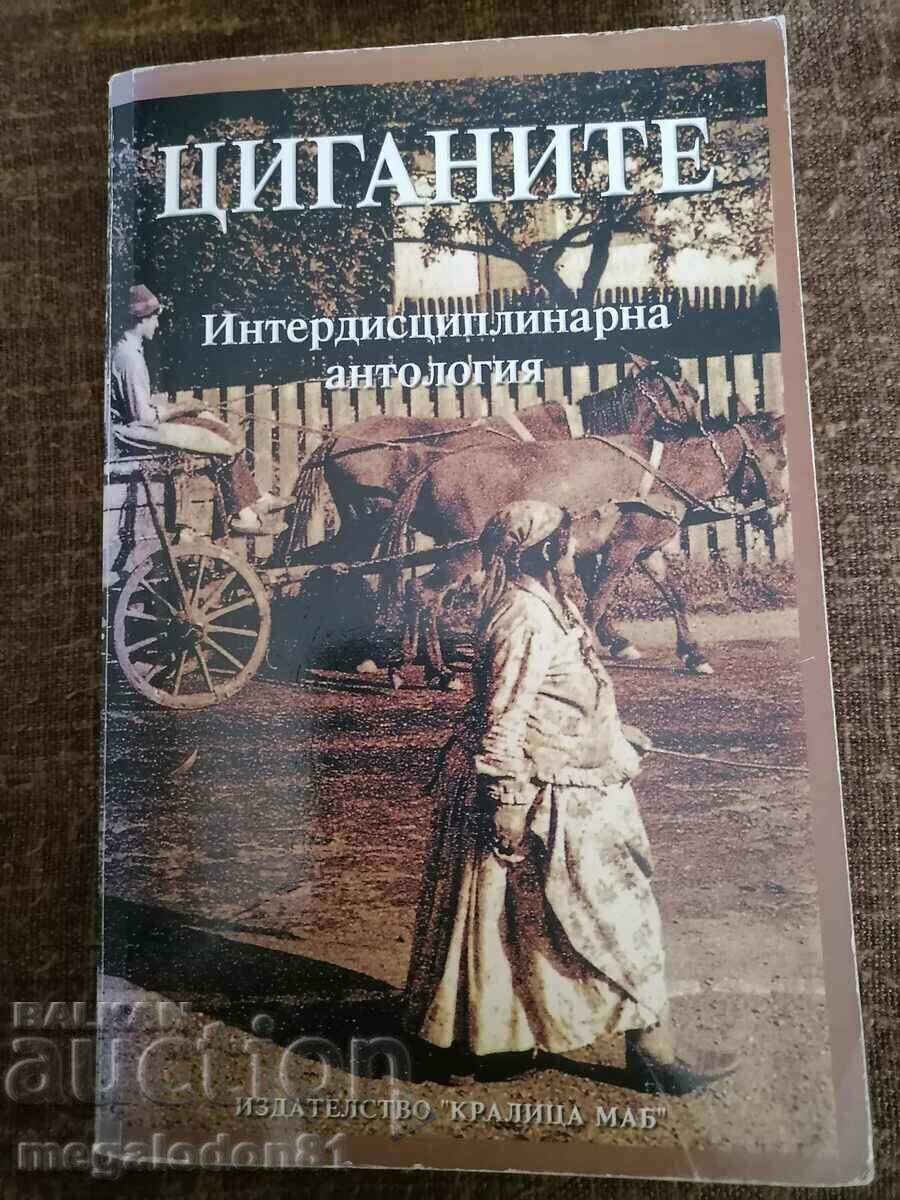 Țiganii - o antologie interdisciplinară Țiganii - o antologie interdisciplinară
