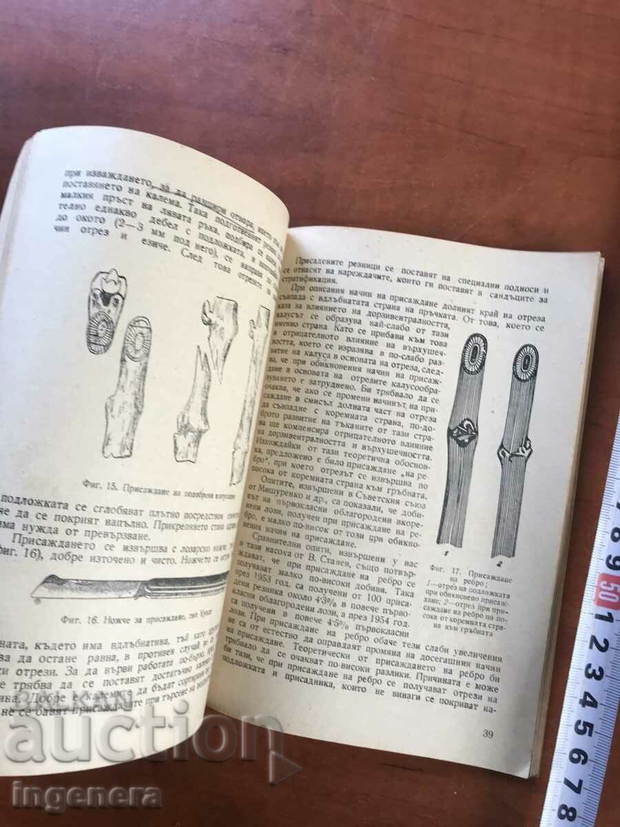 Δημοπρασία ΒΙΒΛΙΟ-ΠΡΟΦ.ΝΕΝΤΕΛΤΣΕΦ-ΠΑΡΑΓΩΓΗ ΑΜΠΕΛΟΦΥΤΕΥΣΗΣ M-L-1955