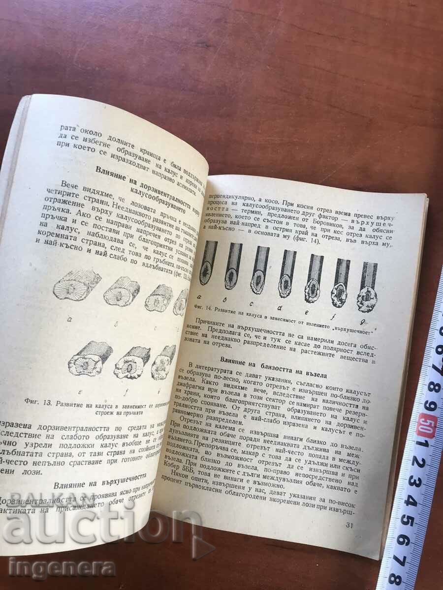 Παράδοση ΒΙΒΛΙΟ-ΠΡΟΦ.ΝΕΝΤΕΛΤΣΕΦ-ΠΑΡΑΓΩΓΗ ΑΜΠΕΛΟΦΥΤΕΥΣΗΣ M-L-1955