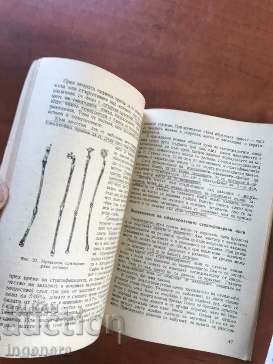 ΒΙΒΛΙΟ-ΠΡΟΦ.ΝΕΝΤΕΛΤΣΕΦ-ΠΑΡΑΓΩΓΗ ΑΜΠΕΛΟΦΥΤΕΥΣΗΣ M-L-1955 - 5