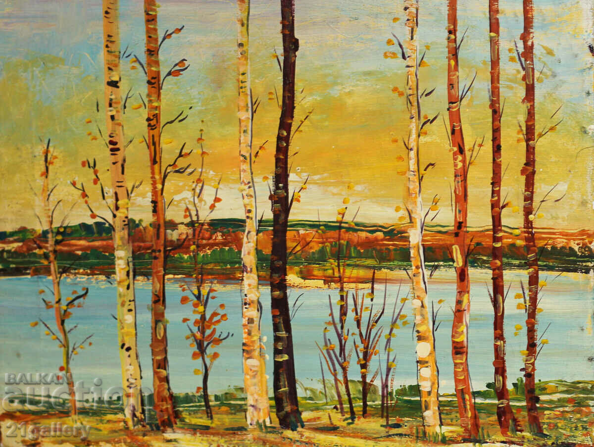 Τοπίο Borislav Tsanov, λαδομπογιές με τιμή 150.00 BGN | € 76.69 Τοπίο Borislav Tsanov, λαδομπογιές με τιμή 150.00 BGN | € 76.69