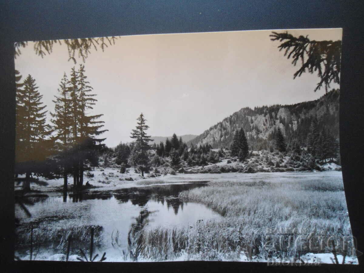 SMOLYAN - near Smolyan Lakes, Old Card