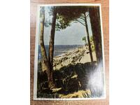 otlevche SOC POST CARD PK