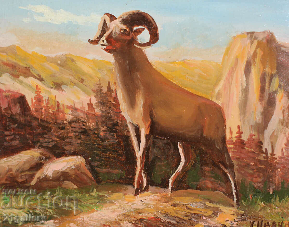 Delivery of H. Ivanov, mountain ram/archar, oil paints Delivery of H. Ivanov, mountain ram/archar, oil paints