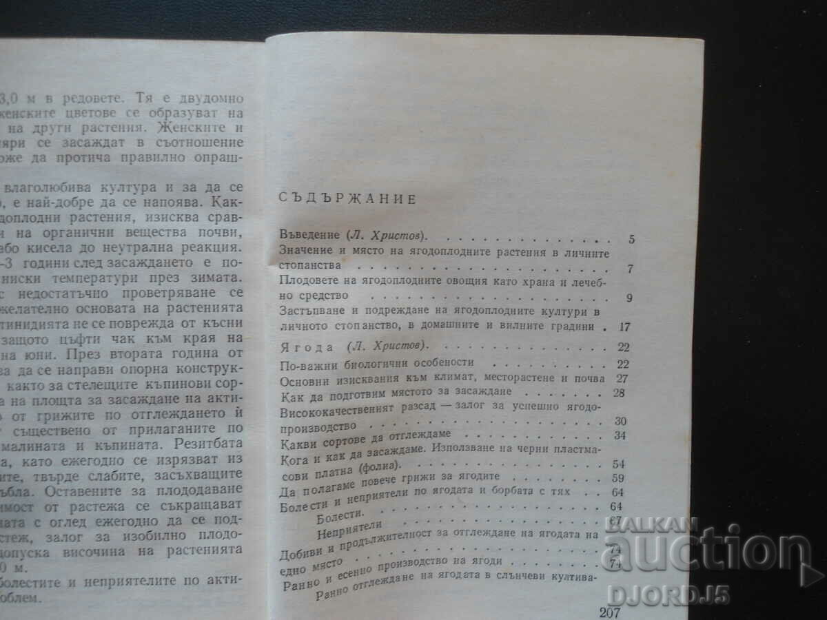 Cultivation of berry plants with price 2.00 BGN | € 1.02