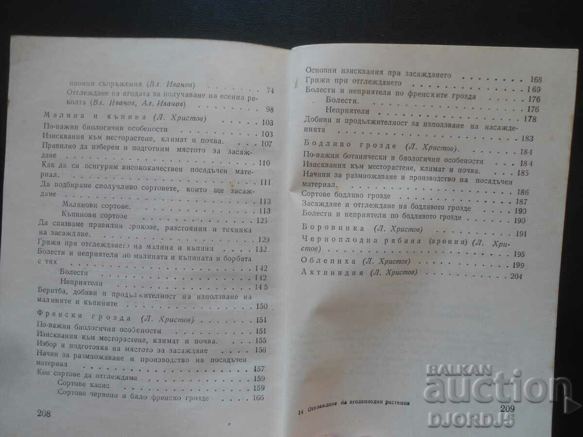 Auction  Cultivation of berry plants