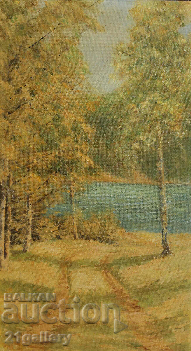 Forest landscape, oil paints with price 250.00 BGN | € 127.82 Forest landscape, oil paints with price 250.00 BGN | € 127.82