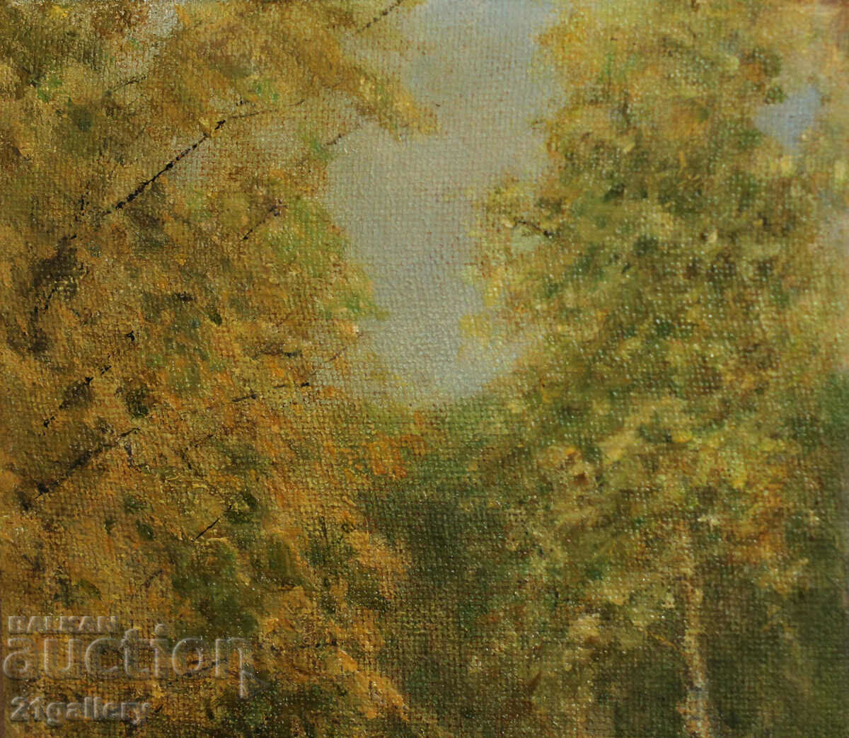 Auction Forest landscape, oil paints Auction Forest landscape, oil paints