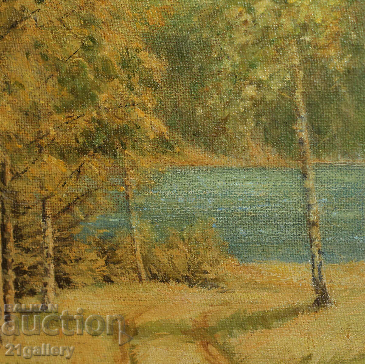 Forest landscape, oil paints - 6 Forest landscape, oil paints - 6