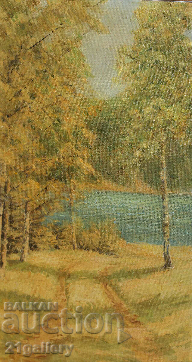 Forest landscape, oil paints Forest landscape, oil paints