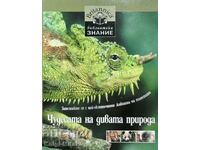 Minunile sălbăticiei - Faceți cunoștință cu cei mai exotici