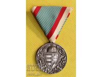 Medal Austria - Hungary PSV.