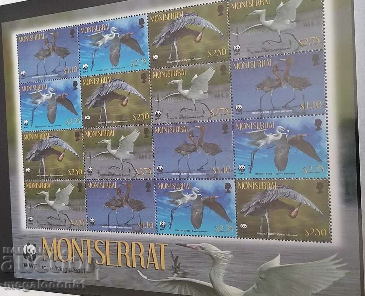 Montserrat - fauna WWF, stârc Montserrat - fauna WWF, stârc