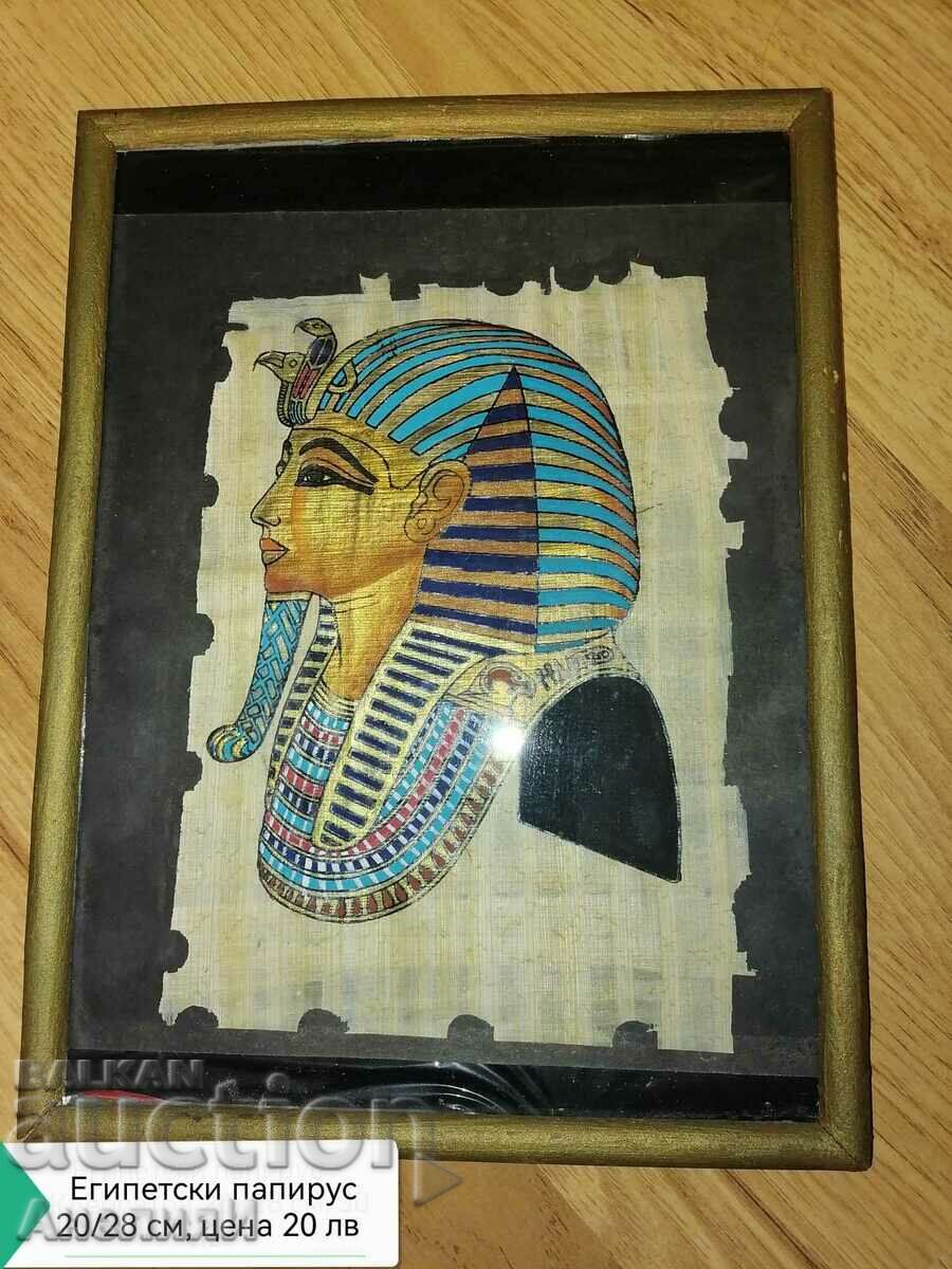 Egyptian papyrus pharaoh in frame