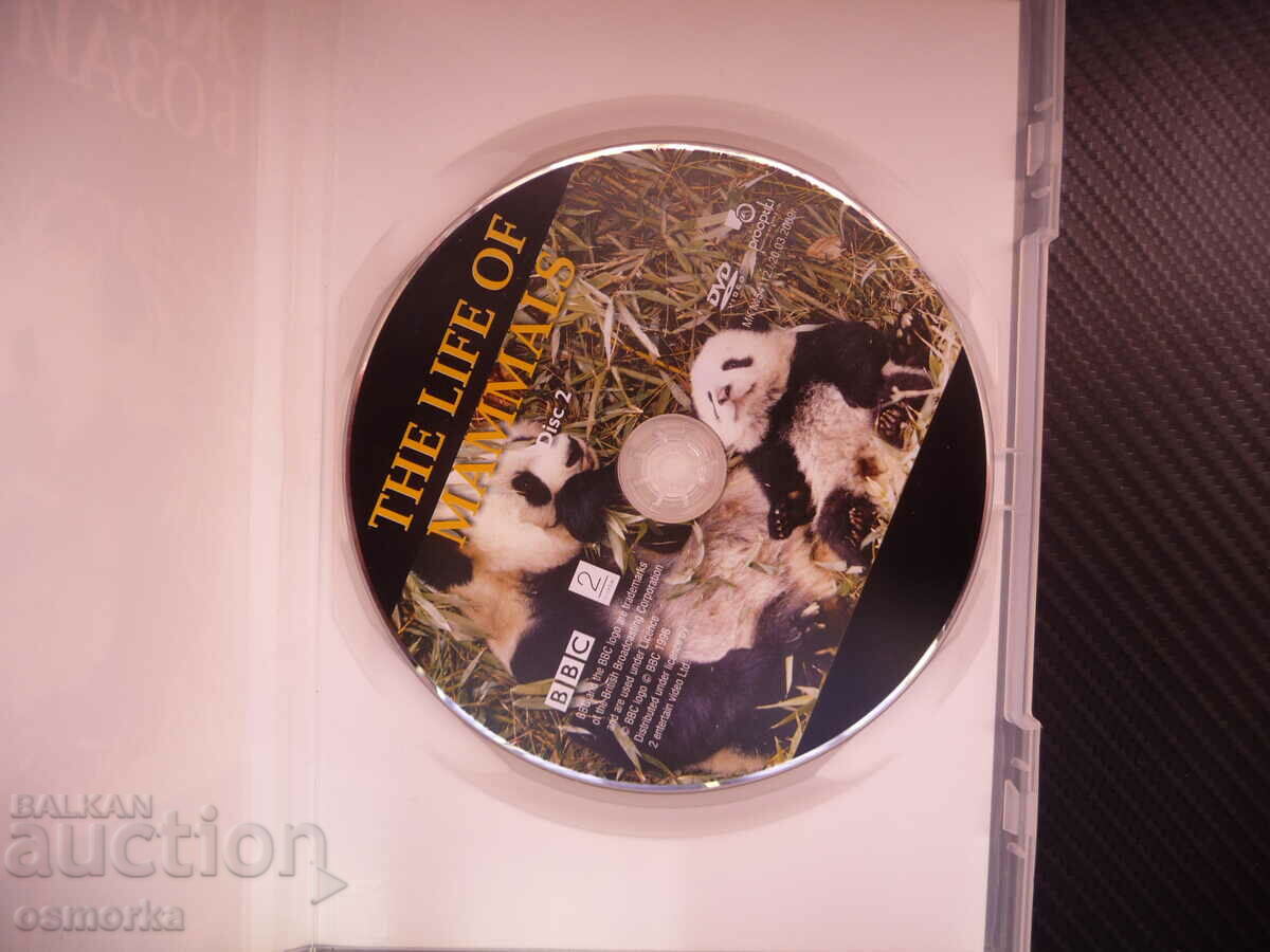 The Life of Mammals DVD Movie Animals Panda Tiger Elephant World with price 4.00 BGN | € 2.05 The Life of Mammals DVD Movie Animals Panda Tiger Elephant World with price 4.00 BGN | € 2.05