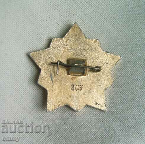 Badge badge Warrior sportsman 3rd degree, Russia with price 1.50 BGN | € 0.77 Badge badge Warrior sportsman 3rd degree, Russia with price 1.50 BGN | € 0.77