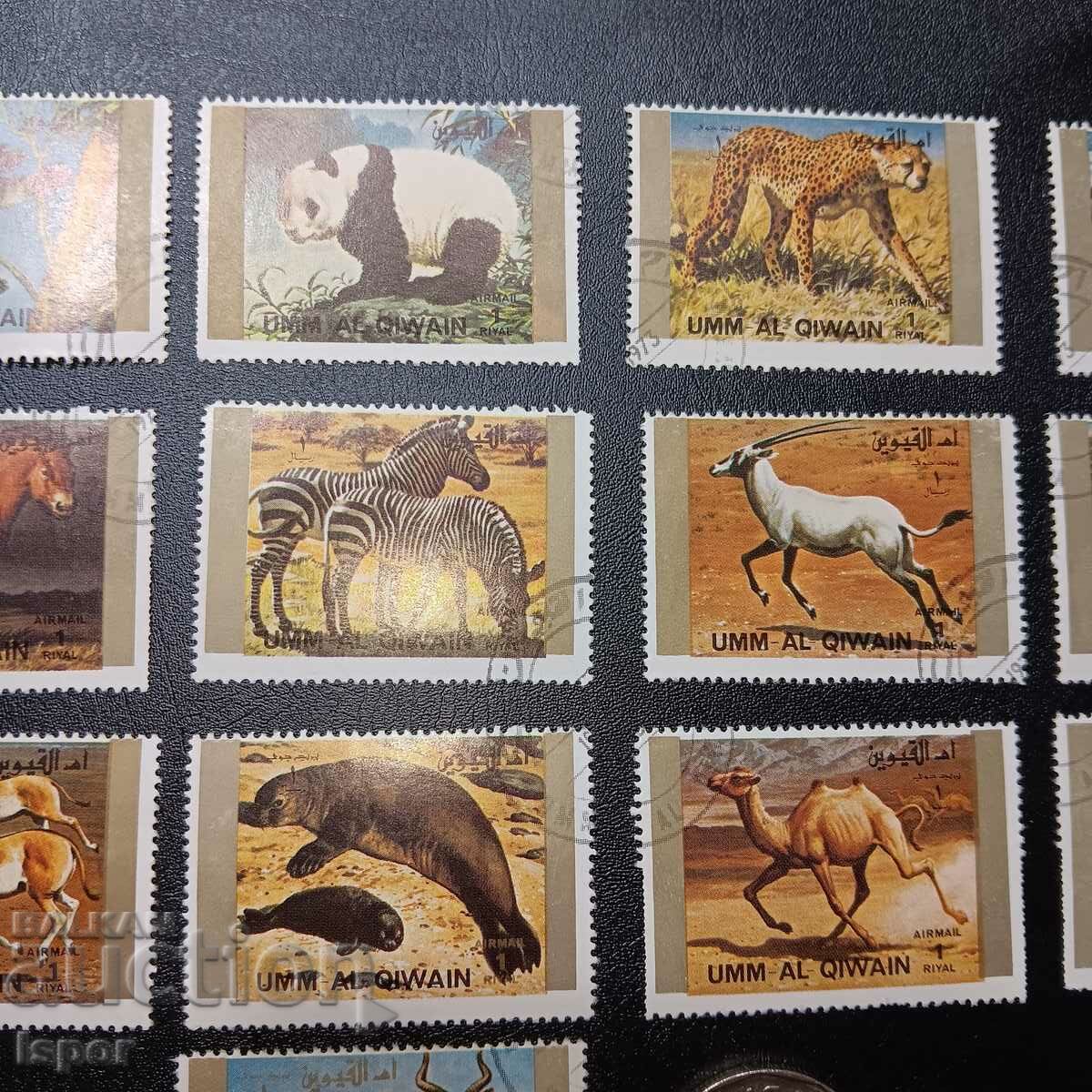 Auction Emirates Auction Emirates