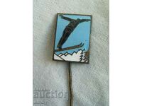 Kingdom of Bulgaria - old badge - skier, ski. Email