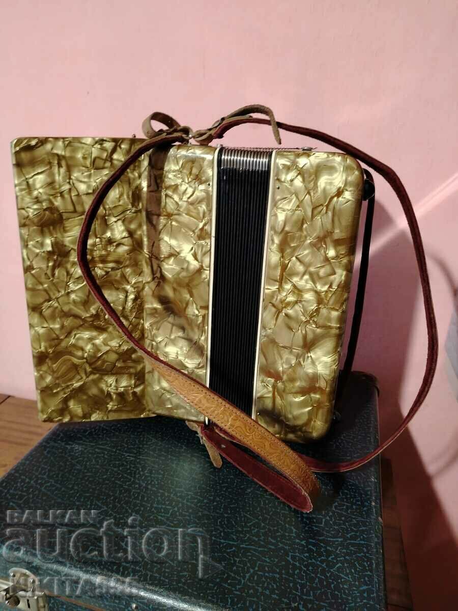 Licitație Acordeon barcarole cu carcasă - 1964 Licitație Acordeon barcarole cu carcasă - 1964