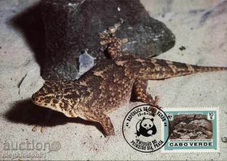 WWF Cards Max Kap Verde 1986 - Geconi with price 20.00 BGN | € 10.23 WWF Cards Max Kap Verde 1986 - Geconi with price 20.00 BGN | € 10.23