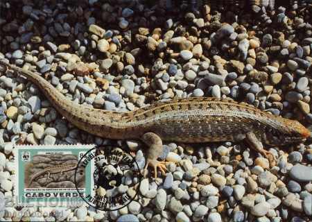 Auction WWF Cards Max Kap Verde 1986 - Geconi Auction WWF Cards Max Kap Verde 1986 - Geconi