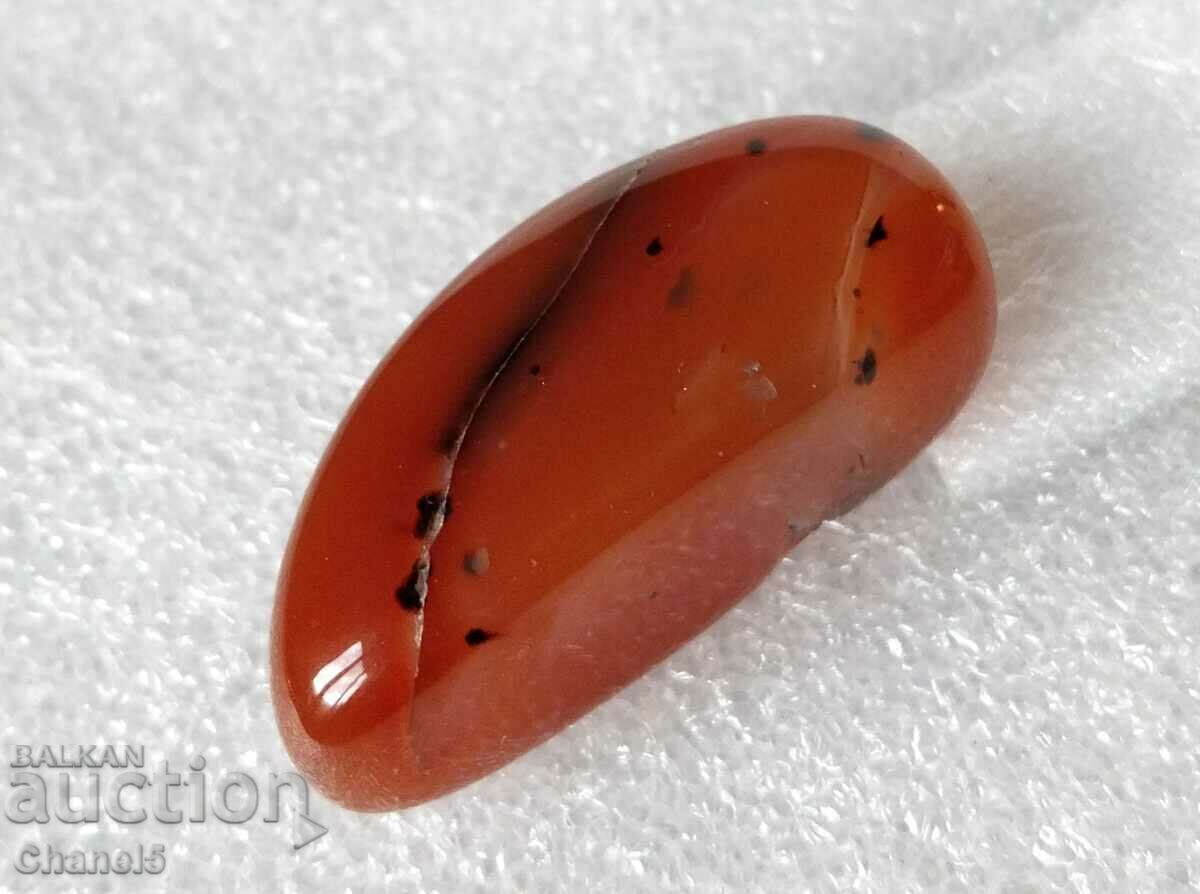 NATURAL CARNEL - 67.10 carats (544) - 6 NATURAL CARNEL - 67.10 carats (544) - 6