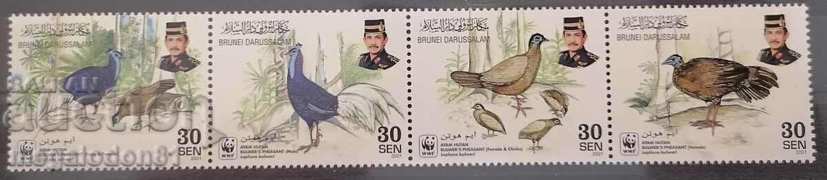 Brunei - WWF fauna, pheasant