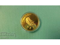 Coin China, lunar calendar