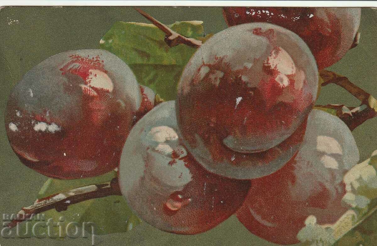 Bulgaria - PK - 1914 călătorit