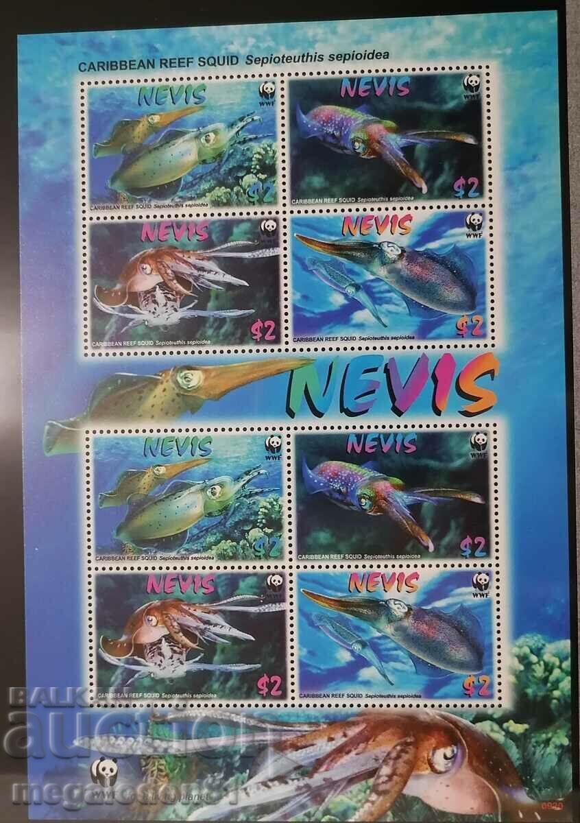 Nevis - fauna WWF, sepie