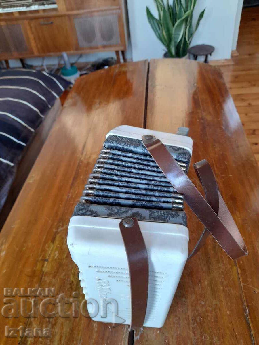 Acordeonul pentru copii vechi Yubileynaya - 5