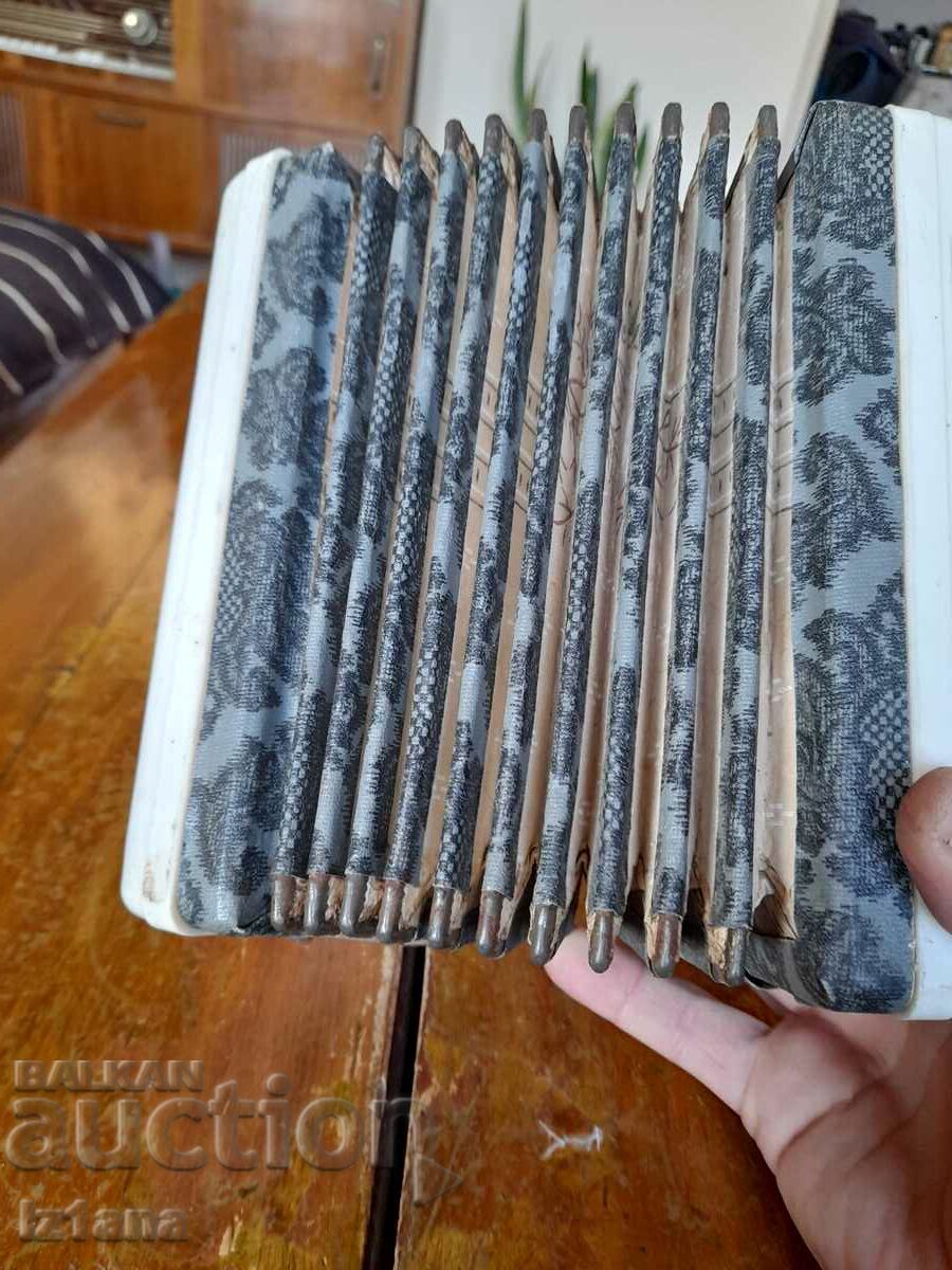 Acordeonul pentru copii vechi Yubileynaya - 6