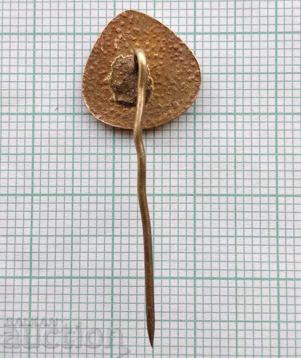 Auction 17182 Blood Donor BCHK Bulgarian Red Cross - bronze enamel Auction 17182 Blood Donor BCHK Bulgarian Red Cross - bronze enamel