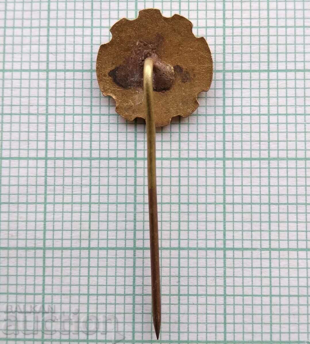 Licitație 17183 Insigna Licitație 17183 Insigna