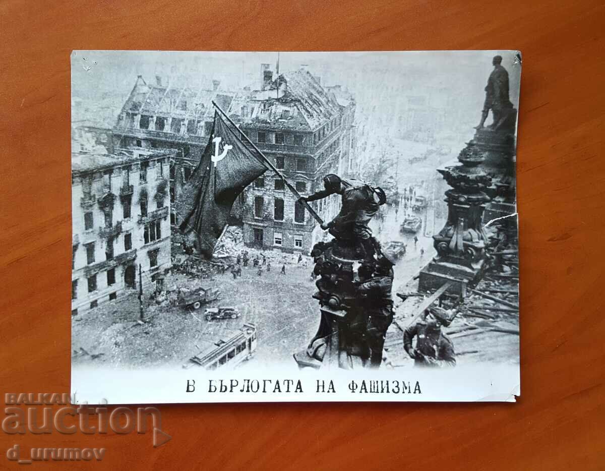 Photos from the Great Patriotic War - lot of 7 pcs. - 5 Photos from the Great Patriotic War - lot of 7 pcs. - 5