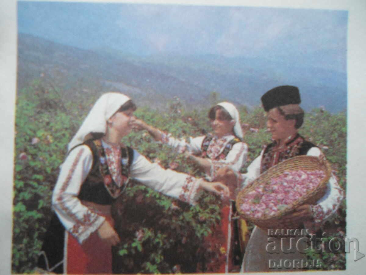 Old envelope, Roseberry with price 0.50 BGN | € 0.26