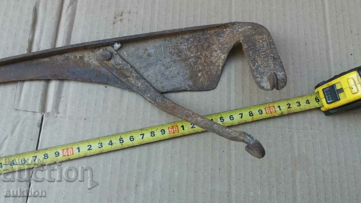 OLD HAIR WITH MARKINGS - 5 OLD HAIR WITH MARKINGS - 5