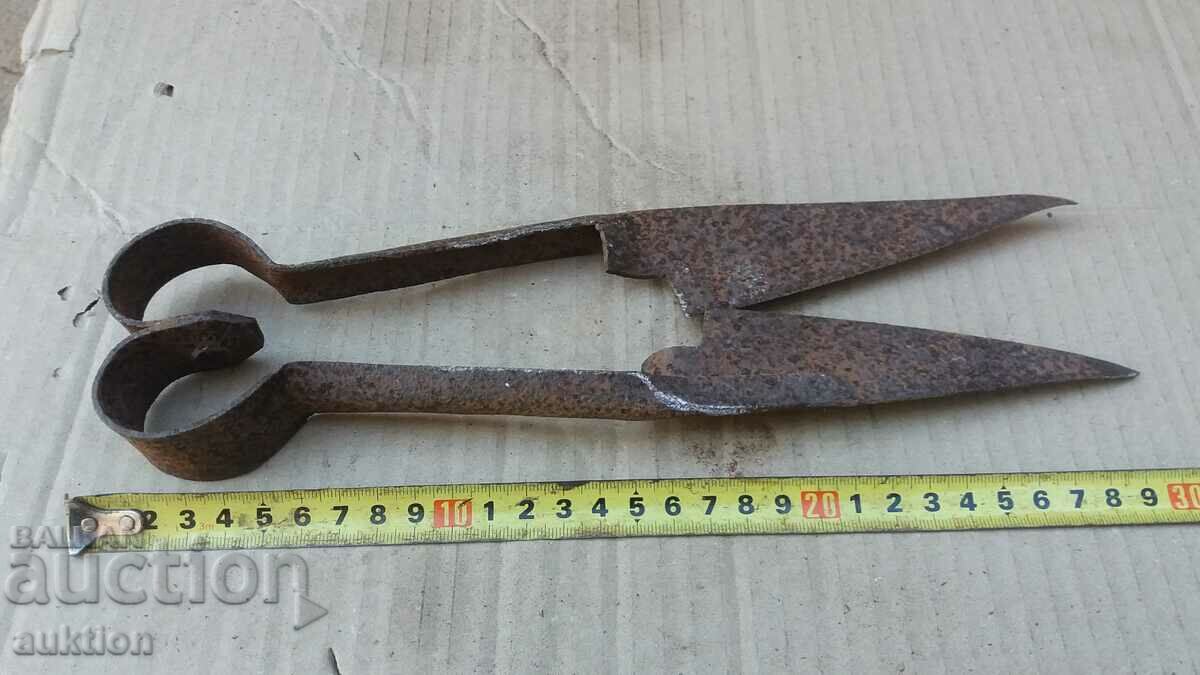 Delivery of OLD SHEEP SHEARS Delivery of OLD SHEEP SHEARS