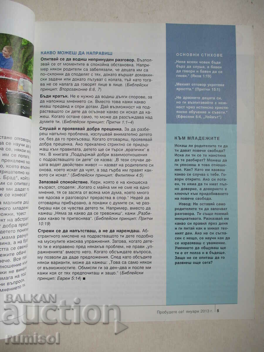 Auction  Wake up! - January 2013