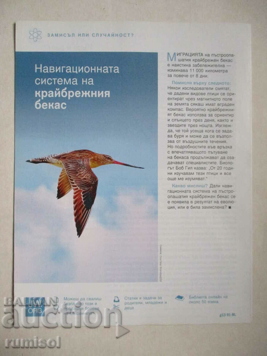 Wake up! - January 2013 - 5