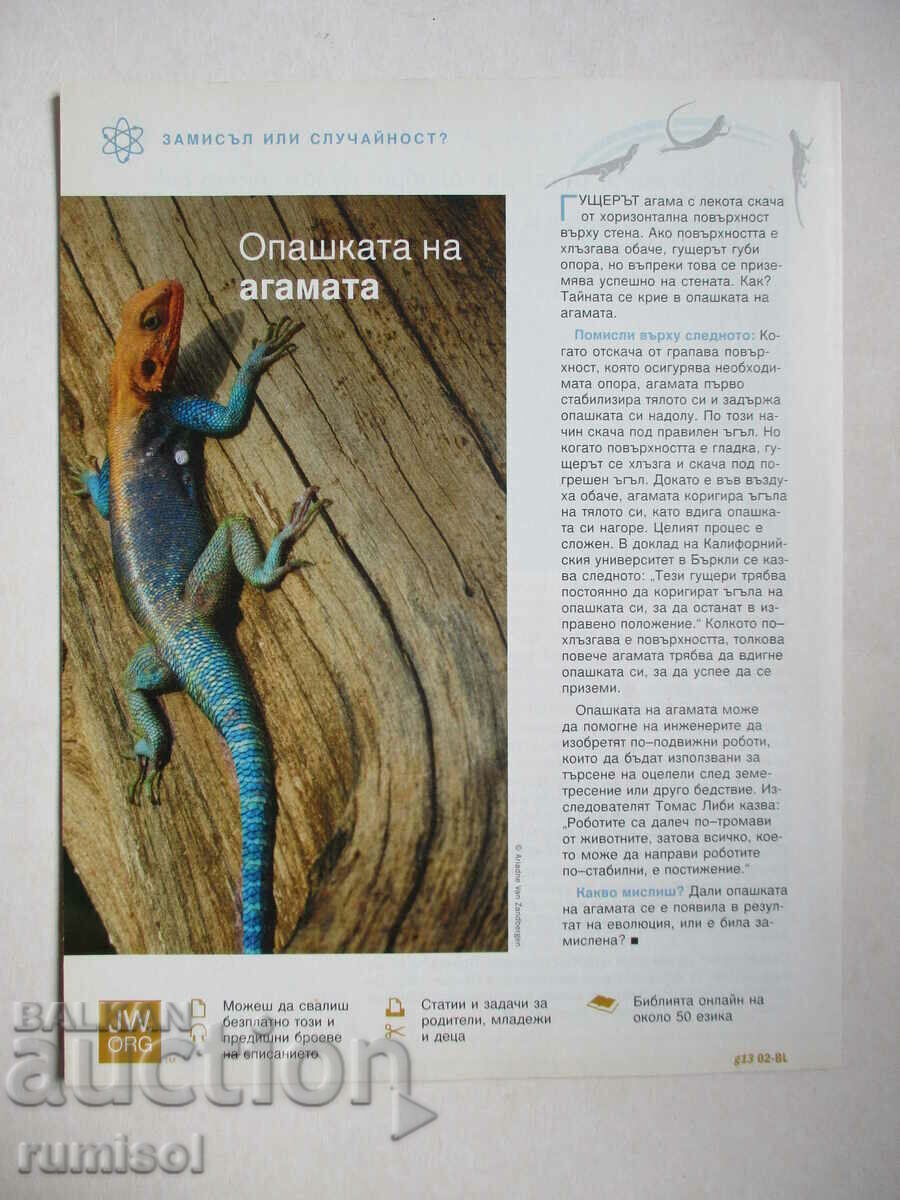 Trezeşte-te! - februarie 2013 - 6