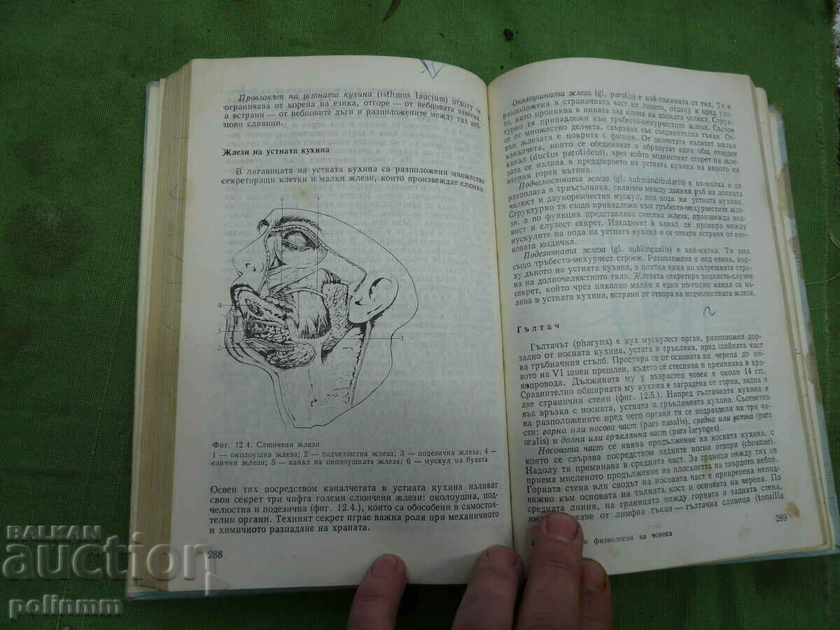 Auction human anatomy and physiology textbook Auction human anatomy and physiology textbook