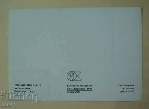 Card-maximum 1990 - snakes - Cat snake with price 2.00 BGN | € 1.02 Card-maximum 1990 - snakes - Cat snake with price 2.00 BGN | € 1.02