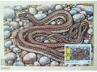 Card-maximum 1990 - snakes - Striped fig