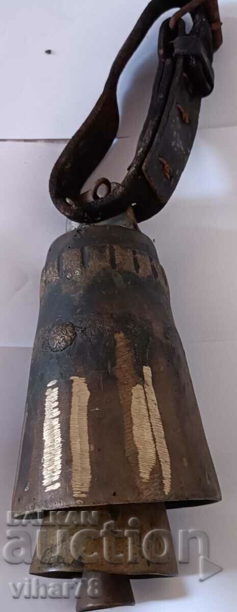 Стар чан - 6 Стар чан - 6