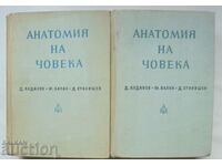 Anatomia umană. Volumul 1-2 Dimitar Kadanov și alții. 1964