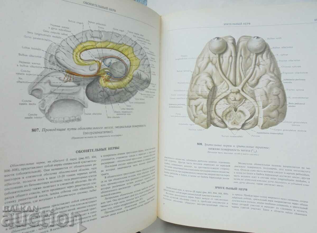 Παράδοση Άτλας της ανθρώπινης ανατομίας. Τόμος 3 R. ΡΕ. Sinelnikov 1983 Παράδοση Άτλας της ανθρώπινης ανατομίας. Τόμος 3 R. ΡΕ. Sinelnikov 1983