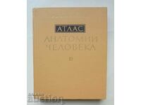 Атлас анатомии человека. Том 3 Р. Д. Синельников 1983 г.