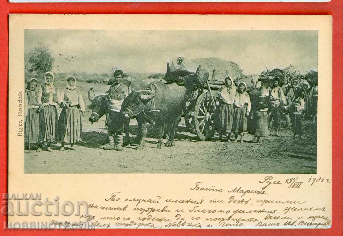 TRAVELED postcard COSTUMES and OX WAGON LITTLE LION 1901